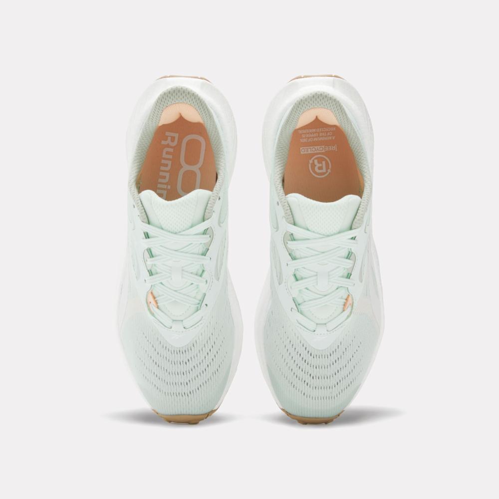 Reebok Footwear Women Floatride Energy 5 Women's Running Shoes AQUDUS/VINGRE/PEAGLO