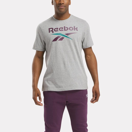 Reebok Apparel Men Reebok Identity Big Stacked Logo T-Shirt MGREYH/MIDNIGHT PLUM