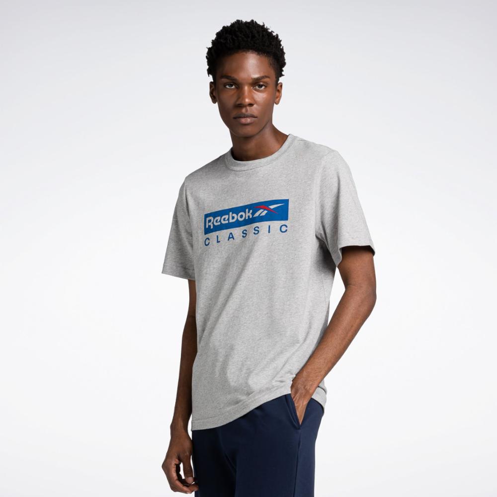 Reebok Apparel Men Graphic Series Reebok Classic T Shirt MGREYH