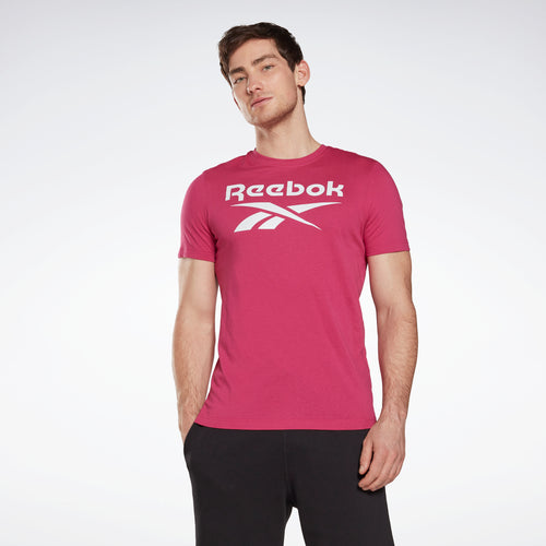 Reebok Apparel Men Reebok Identity Big Logo T-Shirt Seprpi