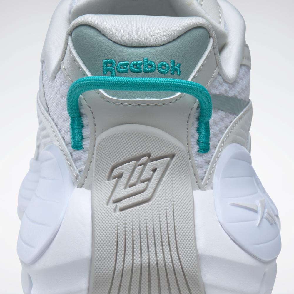 Reebok Footwear Women ZIG KINETICA 2.5 FTWR WHT/PURE GREY 1/SEASIDE G