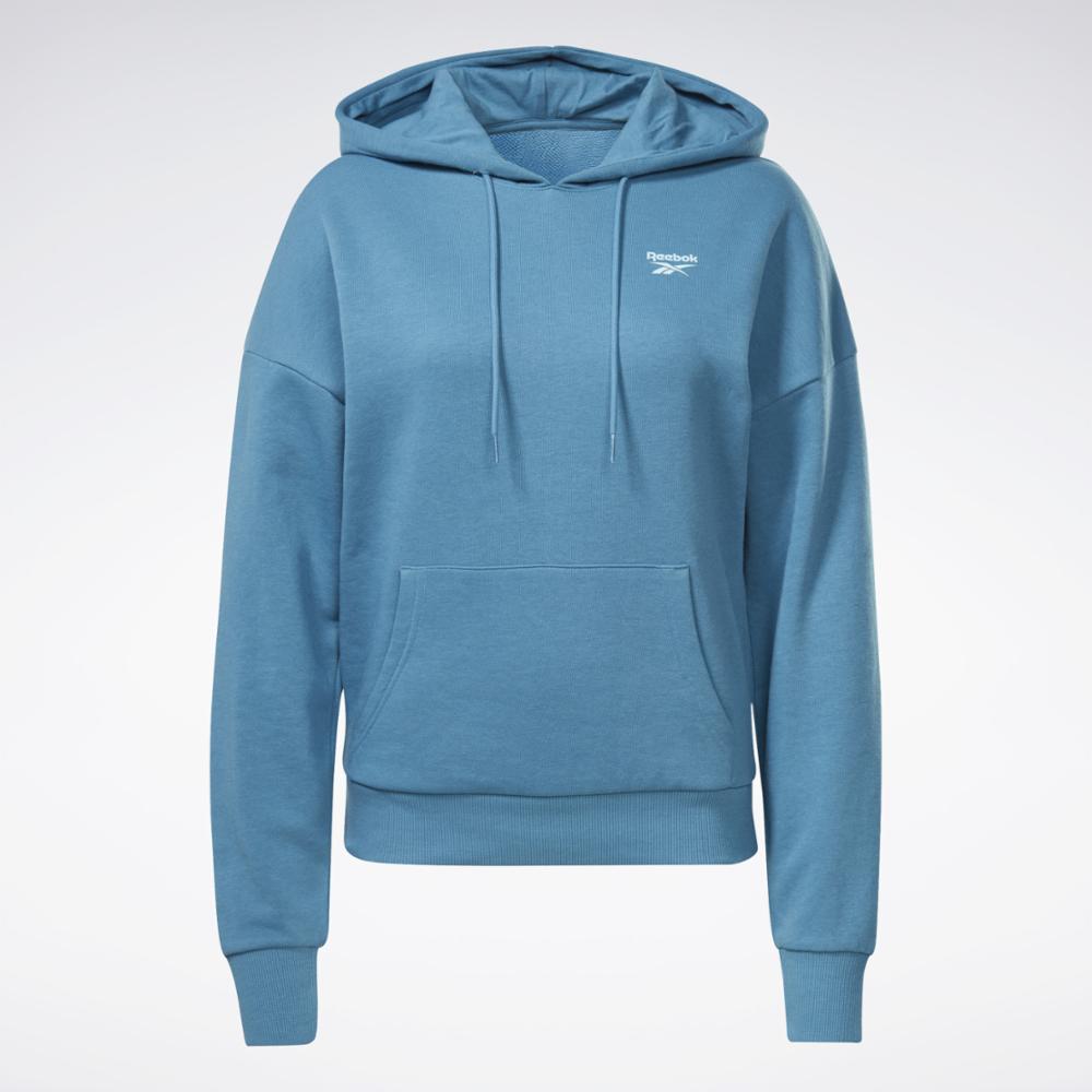 Blue 2024 reebok hoodie